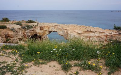 Best Investment Areas in Cyprus